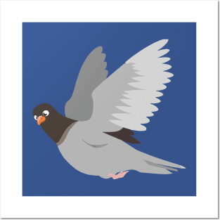 Pigeon 2 Posters and Art